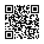 4281-4SG-300 QRCode