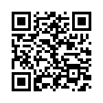 4281-8SG-300 QRCode