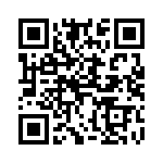 4281-9PG-300 QRCode