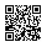 4281-9PG-3ES QRCode