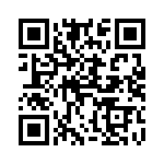 4282-9PG-300 QRCode