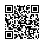 4291-4SG-300 QRCode