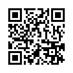 4291-9PG-300 QRCode