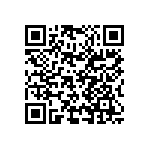 4313-T-B1_B_ANY QRCode