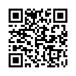 4379-393KS QRCode