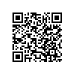 445A33G13M00000 QRCode