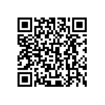 445A35H13M00000 QRCode