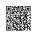 445I33C13M00000 QRCode