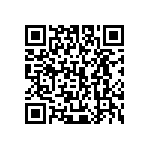 445I33D13M00000 QRCode