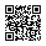 4513_166 QRCode