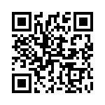 45JR33E QRCode