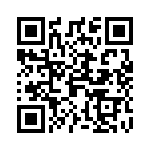 481E02001 QRCode