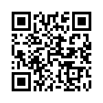 500R07S8R2DV4T QRCode