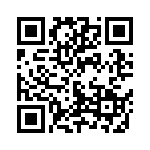 500R14N101JV4T QRCode