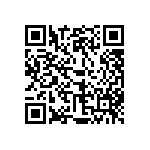 510-87-300-21-001101 QRCode