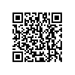 51743-10700000AA QRCode