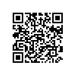 51760-10101601AA QRCode