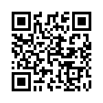 51939-375 QRCode