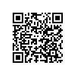 520C502T400DE2B QRCode