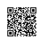 520L20DT13M0000 QRCode