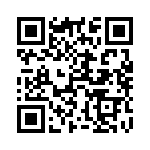 536507-3 QRCode