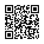 53D153F035JT6 QRCode