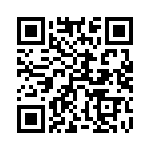 54101-G05-06 QRCode