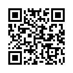 54101-S06-00 QRCode