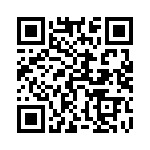 54101-T06-04 QRCode