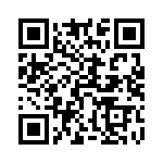 54101-T06-10 QRCode