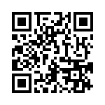 54101-T30-06 QRCode