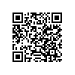 54121-407031300LF QRCode