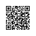 54121-409161750LF QRCode