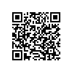 54122-807161300LF QRCode