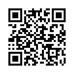 5424-4253-153 QRCode