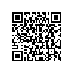 545BAA250M000BAG QRCode