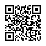 550322T450DF2B QRCode