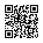 5511309 QRCode