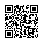 5530123809F QRCode