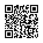 5530333004F QRCode