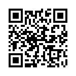 55GDMSJD25E QRCode