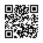591KB-BDG QRCode