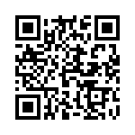 593101010013F QRCode