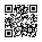 593151515013F QRCode