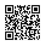 593272323002F QRCode
