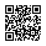 593282828313F QRCode