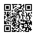 593313131302F QRCode