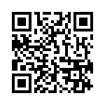 593313131313F QRCode