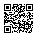 593353535002F QRCode