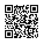 60040685344 QRCode